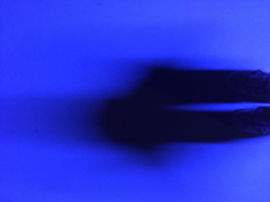 and-Bleu Sued Shoes